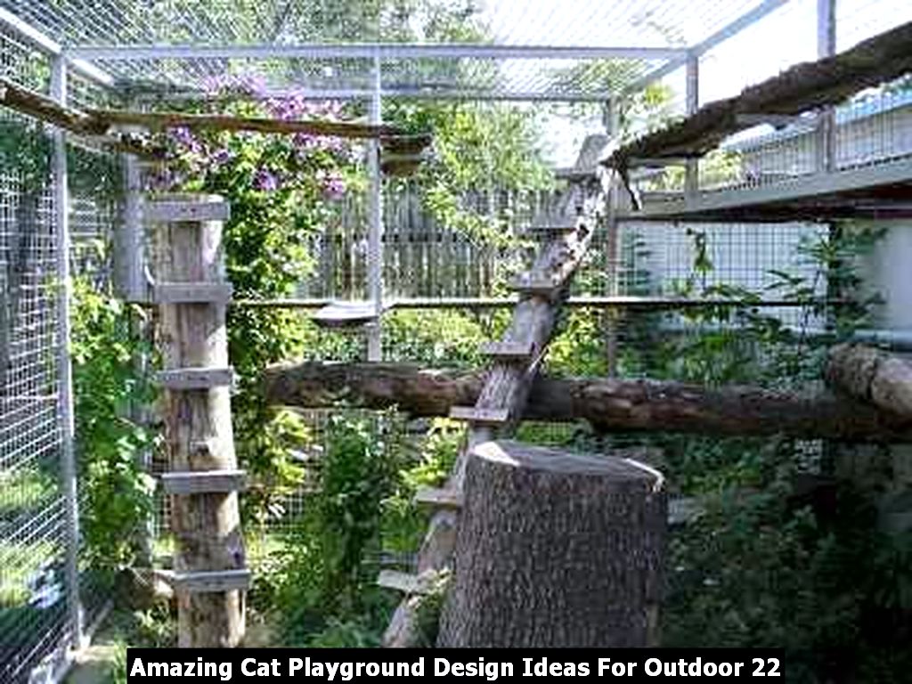 Amazing Cat Playground Design Ideas For Outdoor 22