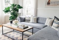 Gray Couch Living Room