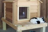 Outdoor Cat House For Winter