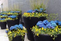 Large Outdoor Flower Pots