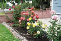 Front Yard Rose Garden Ideas