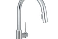 Delta Trinsic Kitchen Faucet