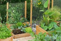 Small Vegetable Garden Ideas