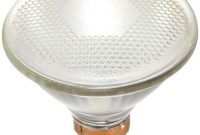 Outdoor Flood Light Bulbs