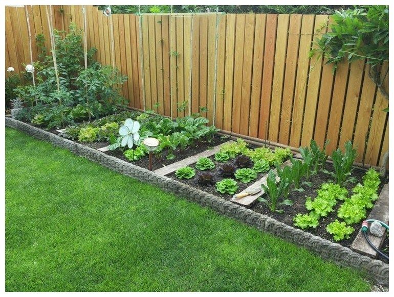 Small Backyard Backyard Vegetable Garden Ideas