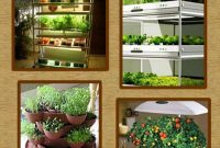 Indoor Vegetable Garden Ideas