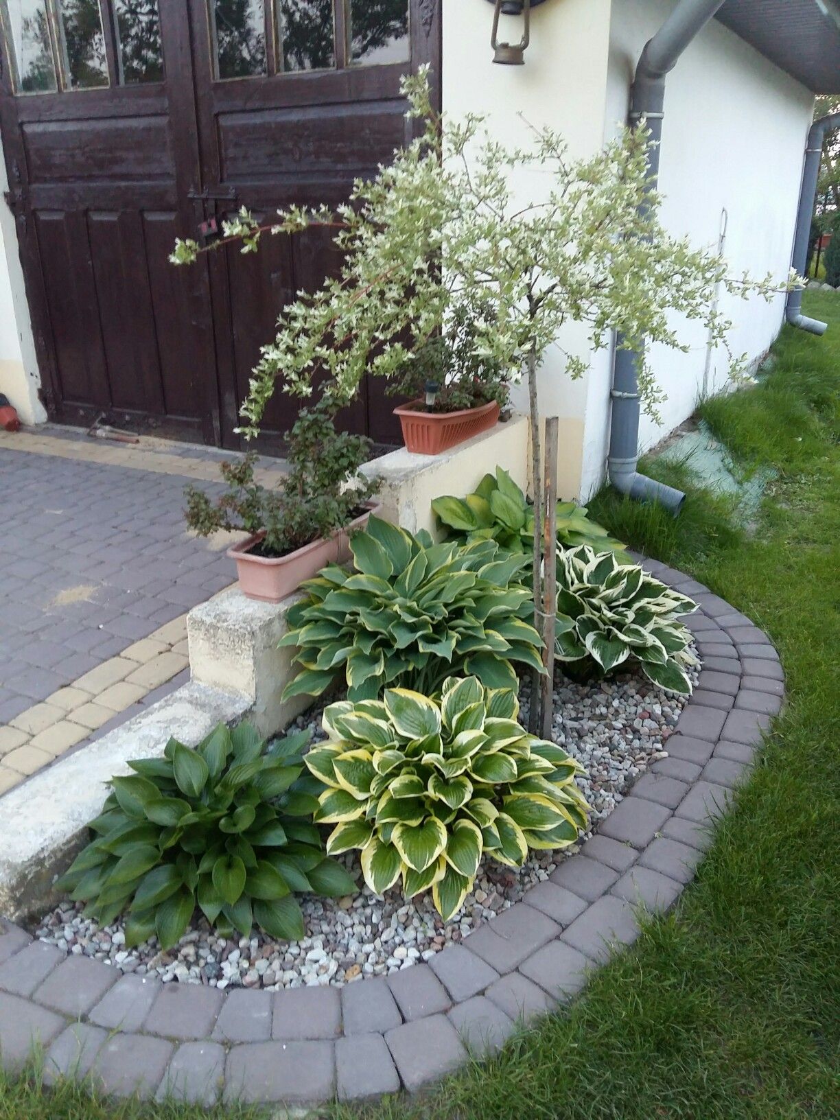 Very Small Front Garden Ideas
