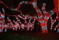 Outdoor Candy Cane Lights