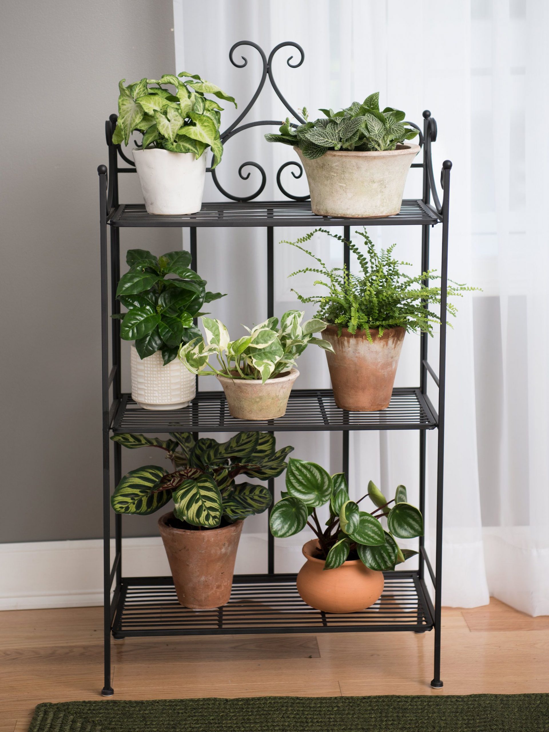 Metal Plant Stand Outdoor