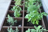 Patio Herb Garden Ideas