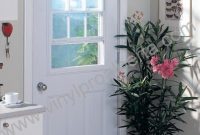 Exterior Door With Window